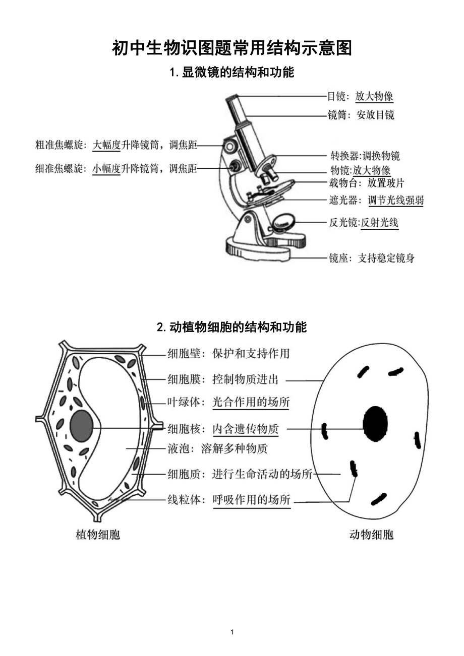 初中生物识图题常用结构示意图汇总（共15幅）.doc_第1页