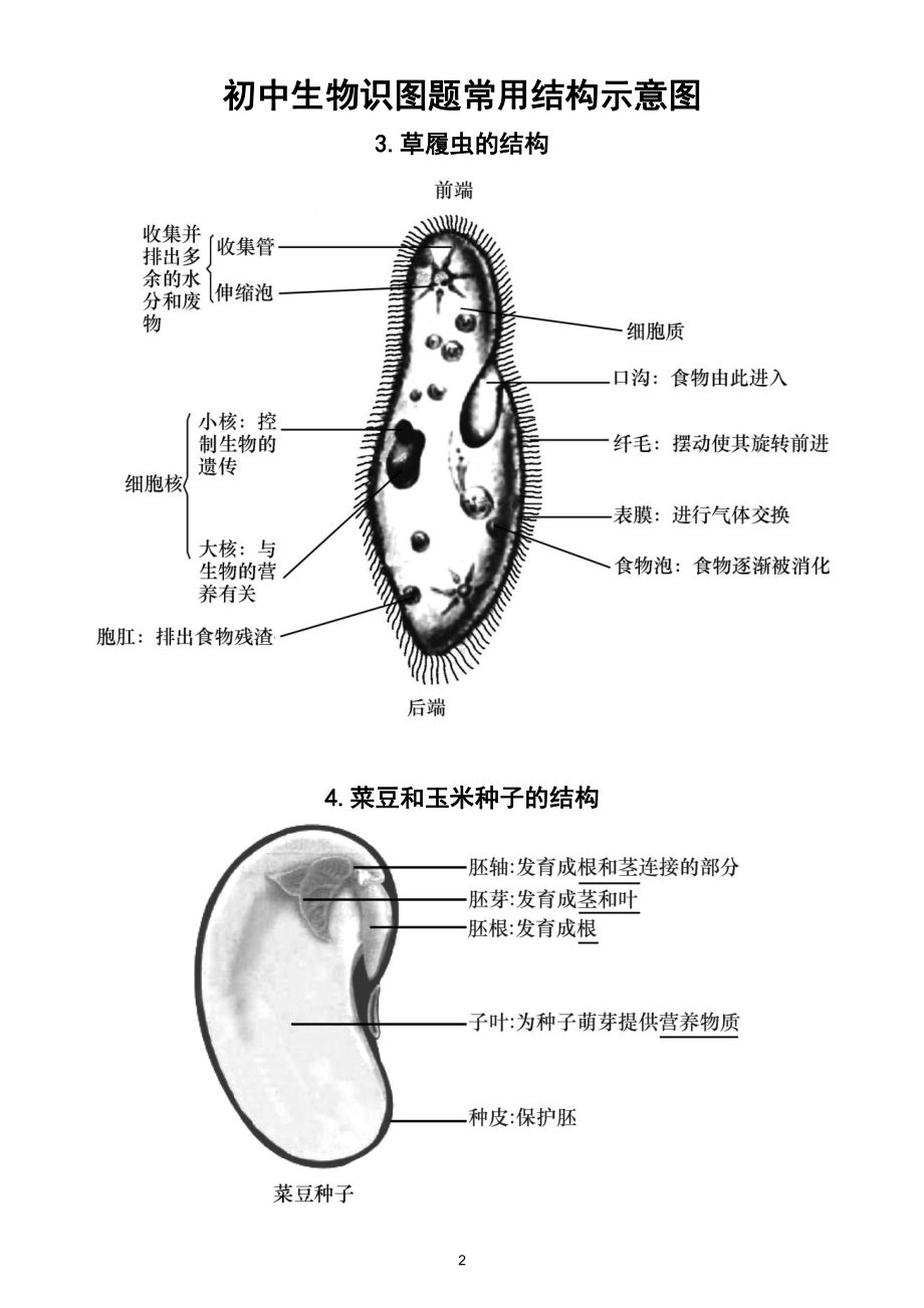 初中生物识图题常用结构示意图汇总（共15幅）.doc_第2页