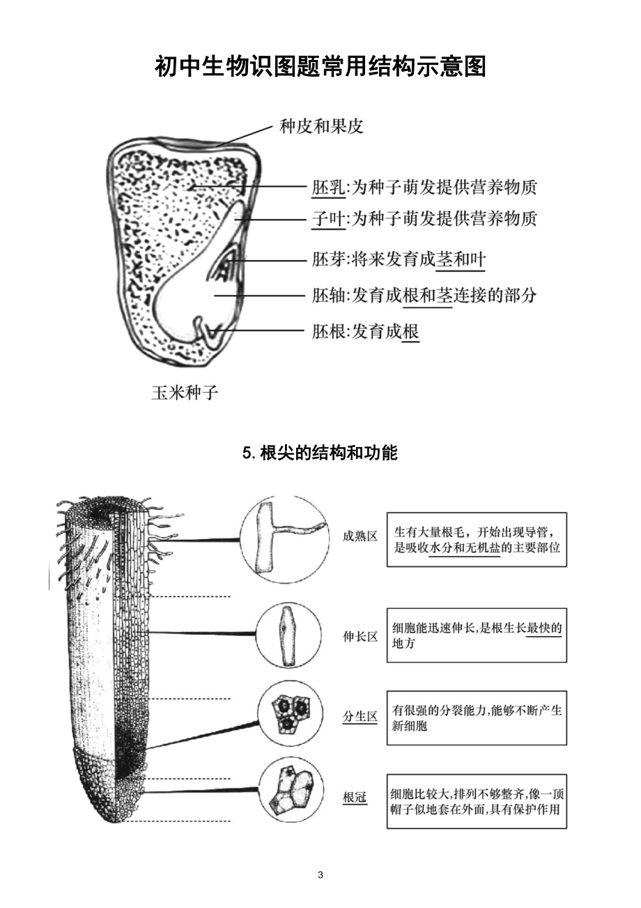 初中生物识图题常用结构示意图汇总（共15幅）.doc_第3页