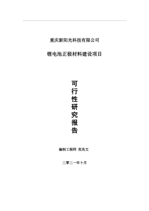 锂电池正极材料项目可行性研究报告-用于立项备案.wps