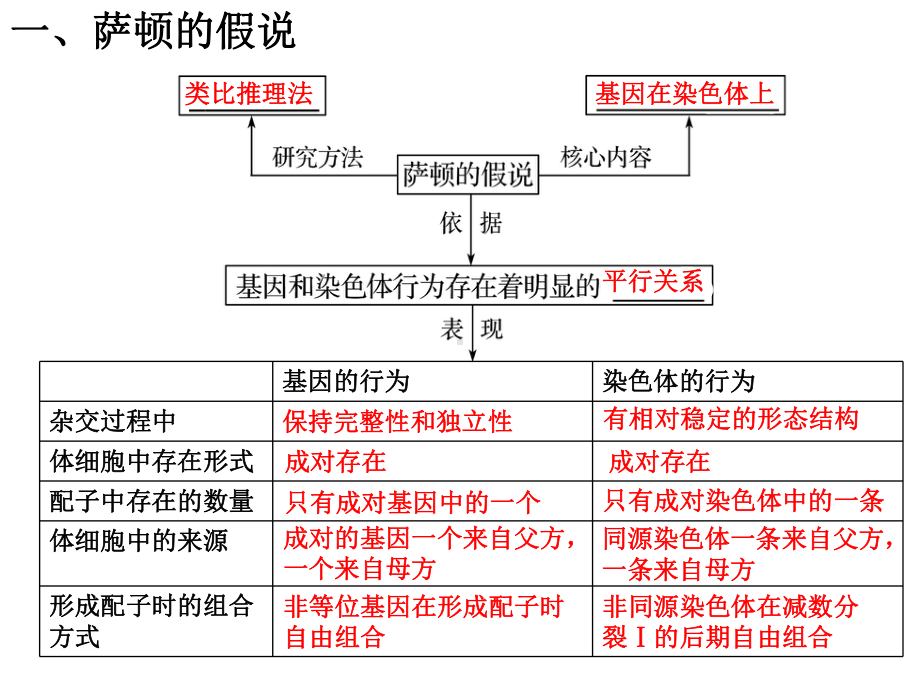 （新教材）2019新人教版高中生物必修二复习课第2章 第2、3节 基因在染色体上、伴性遗传和人类遗传病ppt课件.pptx_第2页