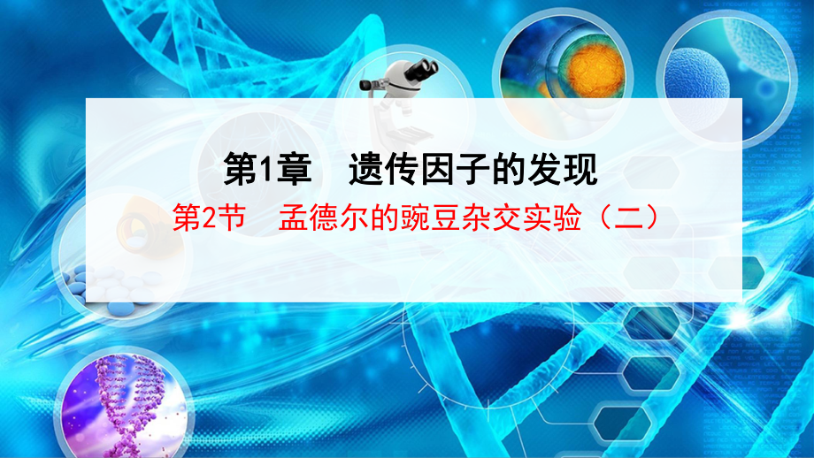 （新教材）2019新人教版高中生物必修二1.2孟德尔豌豆杂交实验（二）ppt课件.ppt_第1页