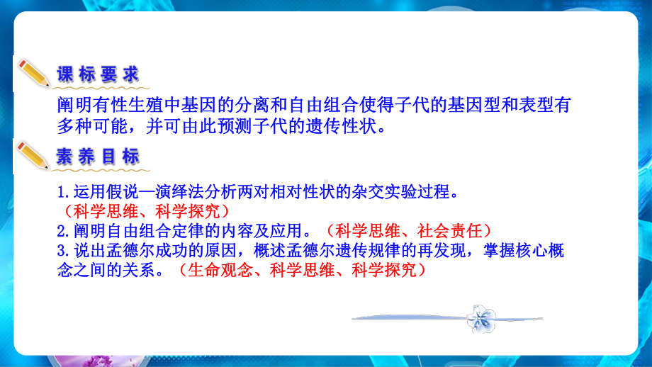 （新教材）2019新人教版高中生物必修二1.2孟德尔豌豆杂交实验（二）ppt课件.ppt_第3页