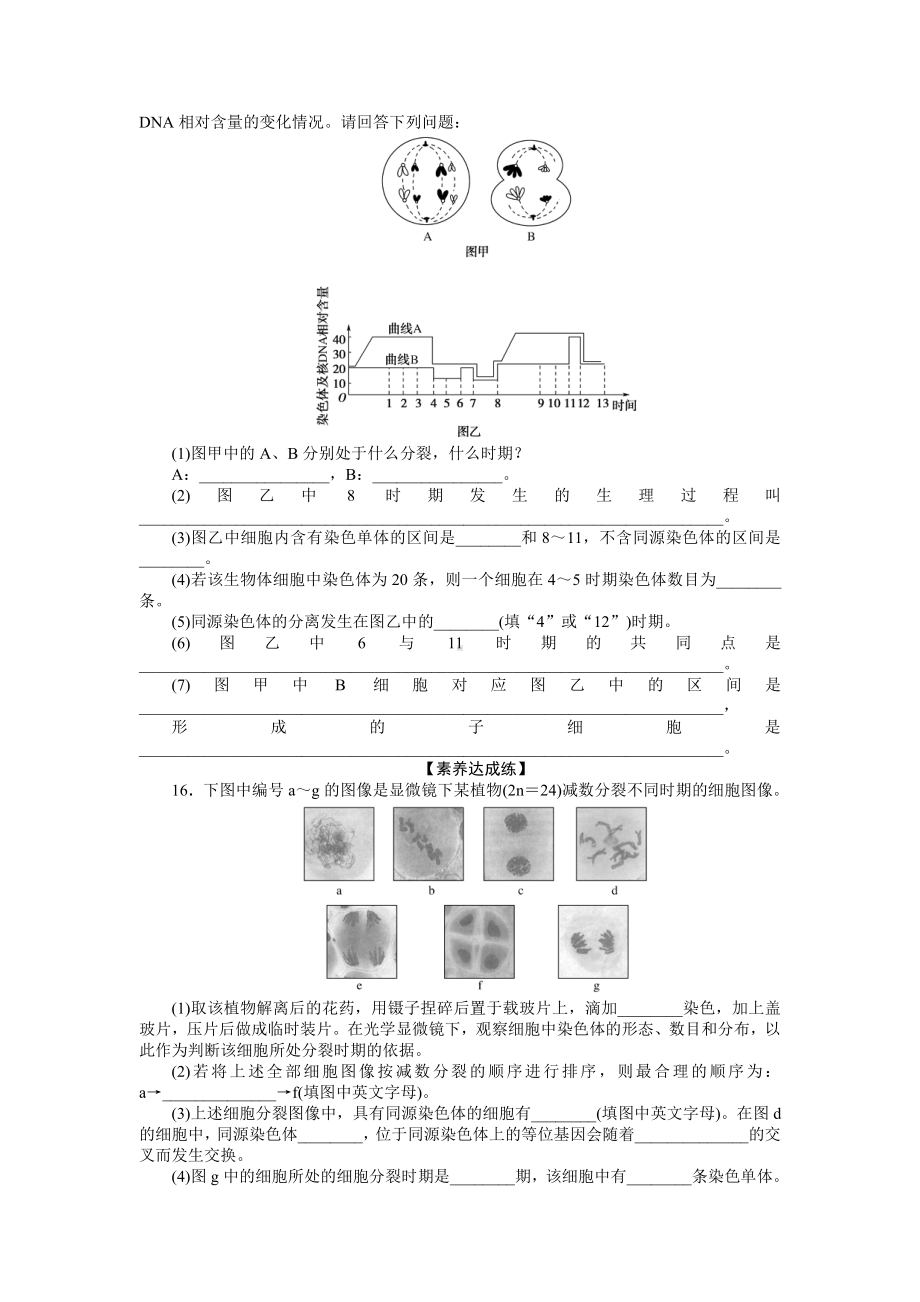 （新教材）2019人教版高中生物必修二06减数分裂和受精作用课后作业.doc_第3页