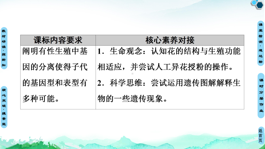 （新教材）2019新人教版高中生物必修二第1章第1节第1课时一对相对性状的杂交实验过程和解释课件.ppt_第2页