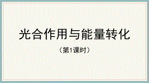 （新教材）2019新人教版高中生物必修一5.4光合作用与能量转化（第1课时）ppt课件.pptx