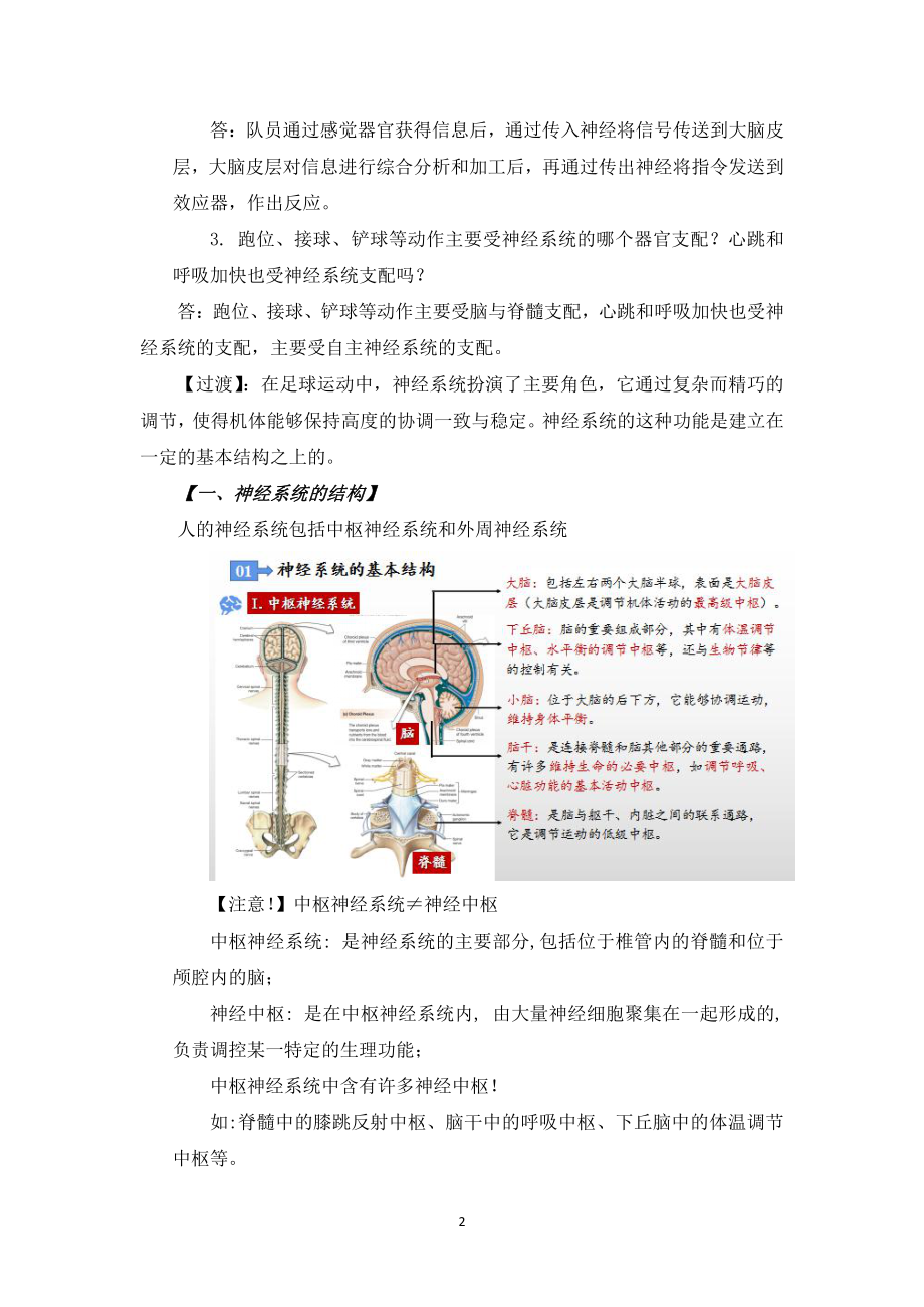 （新教材）2019人教版高中生物选择性必修一2.1 神经调节的结构基础 教案 .docx_第2页