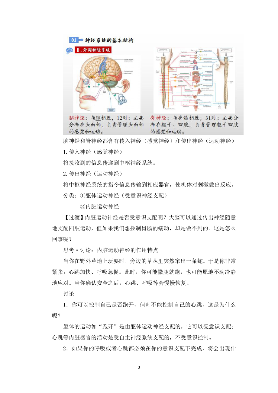 （新教材）2019人教版高中生物选择性必修一2.1 神经调节的结构基础 教案 .docx_第3页