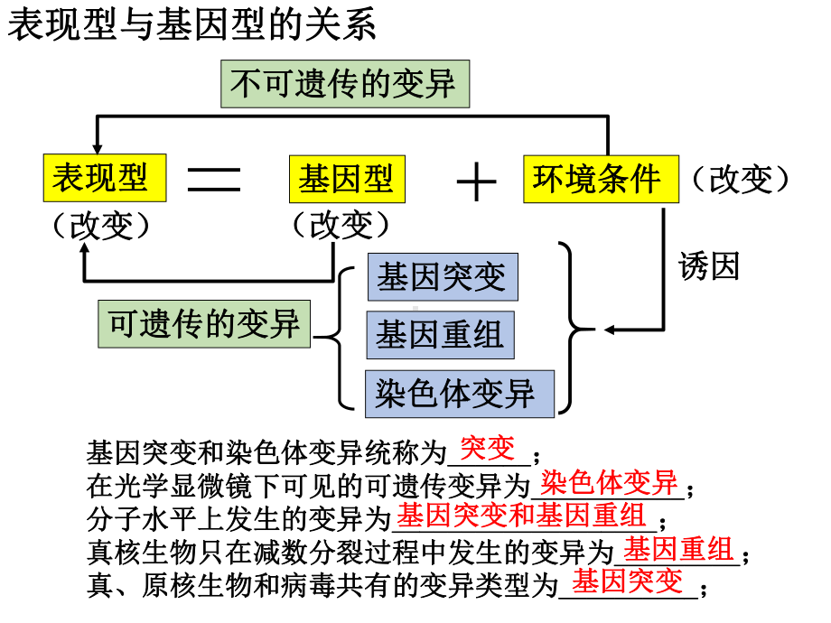 （新教材）2019新人教版高中生物必修二复习课 第5章 三种可遗传变异ppt课件.pptx_第1页