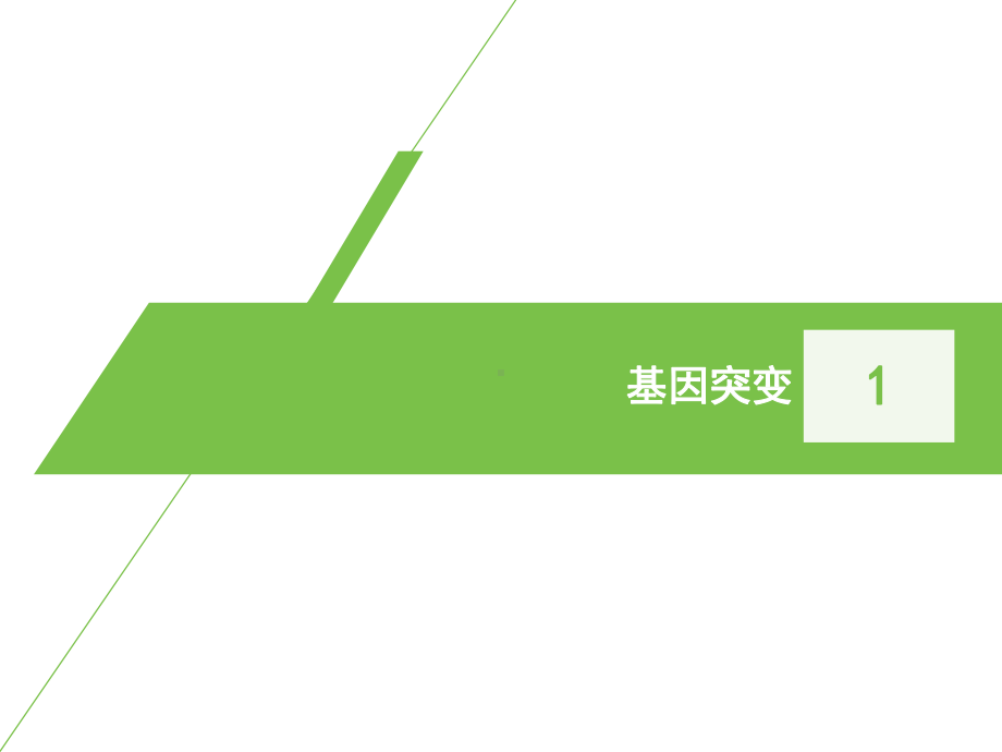 （新教材）2019新人教版高中生物必修二复习课 第5章 三种可遗传变异ppt课件.pptx_第2页