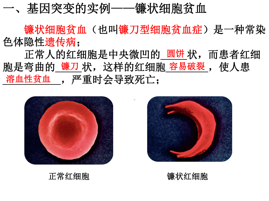 （新教材）2019新人教版高中生物必修二复习课 第5章 三种可遗传变异ppt课件.pptx_第3页