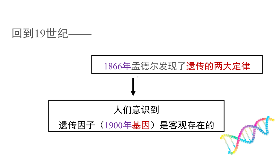 （新教材）2019新人教版高中生物必修二2.2基因在染色体上ppt课件.pptx_第2页