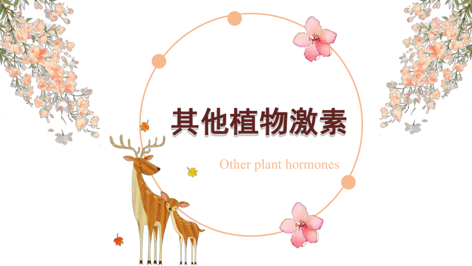 （新教材）2019人教版高中生物选择性必修一5.2 其他植物激素 ppt课件.pptx_第1页