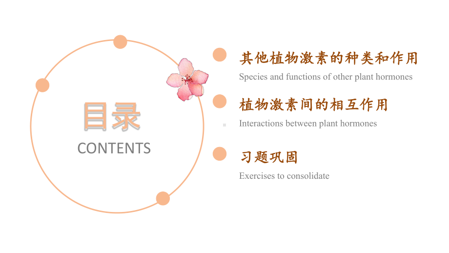 （新教材）2019人教版高中生物选择性必修一5.2 其他植物激素 ppt课件.pptx_第2页