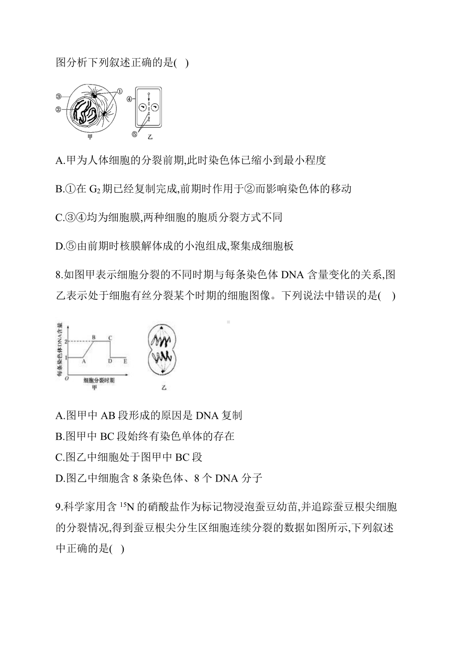 （新教材）2019新人教版高中生物必修一章节（16） 细胞的增殖.docx_第3页