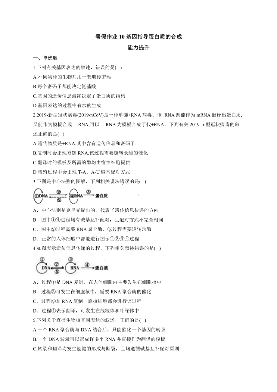 （新教材）2019人教版高中生物必修二暑假作业10 基因指导蛋白质的合成 能力提升.docx_第1页