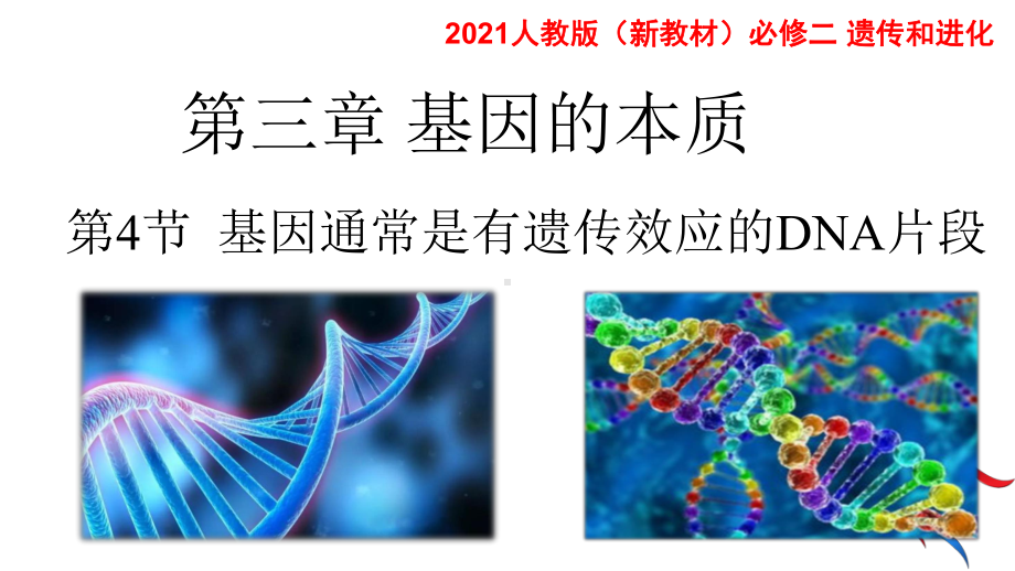 （新教材）2019人教版高中生物必修二3.4基因通常是有遗传效应的DNA片段ppt课件.pptx_第1页