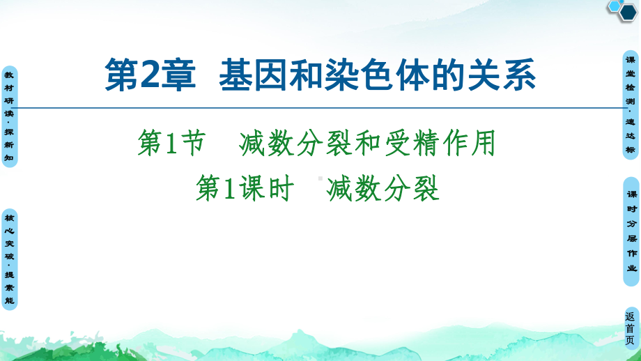 （新教材）2019新人教版高中生物必修二第2章第1节第1课时减数分裂课件.ppt_第1页