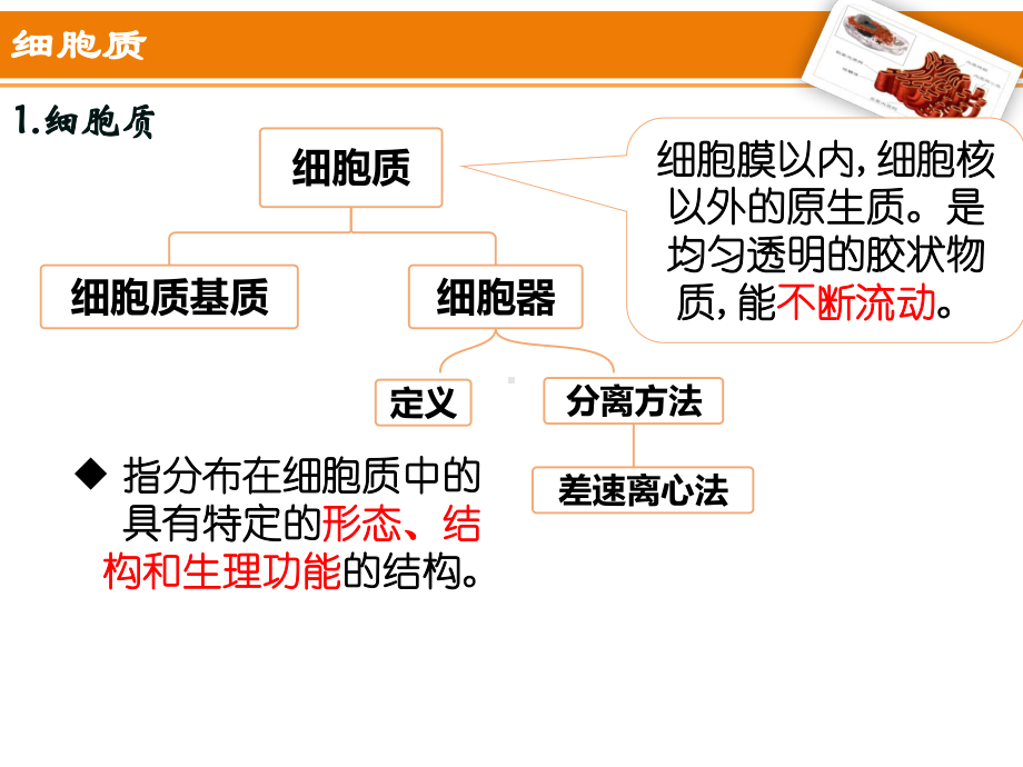 （新教材）2019新人教版高中生物必修一3.2 细胞器之间的分工合作 ppt课件.ppt_第2页