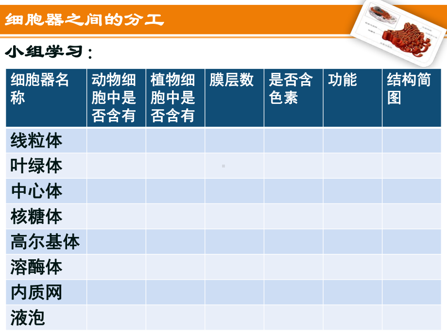 （新教材）2019新人教版高中生物必修一3.2 细胞器之间的分工合作 ppt课件.ppt_第3页