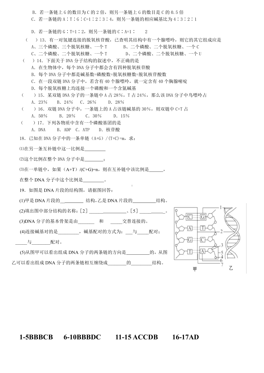 （新教材）2019人教版高中生物必修二3.2DNA的结构强化训练.doc_第2页