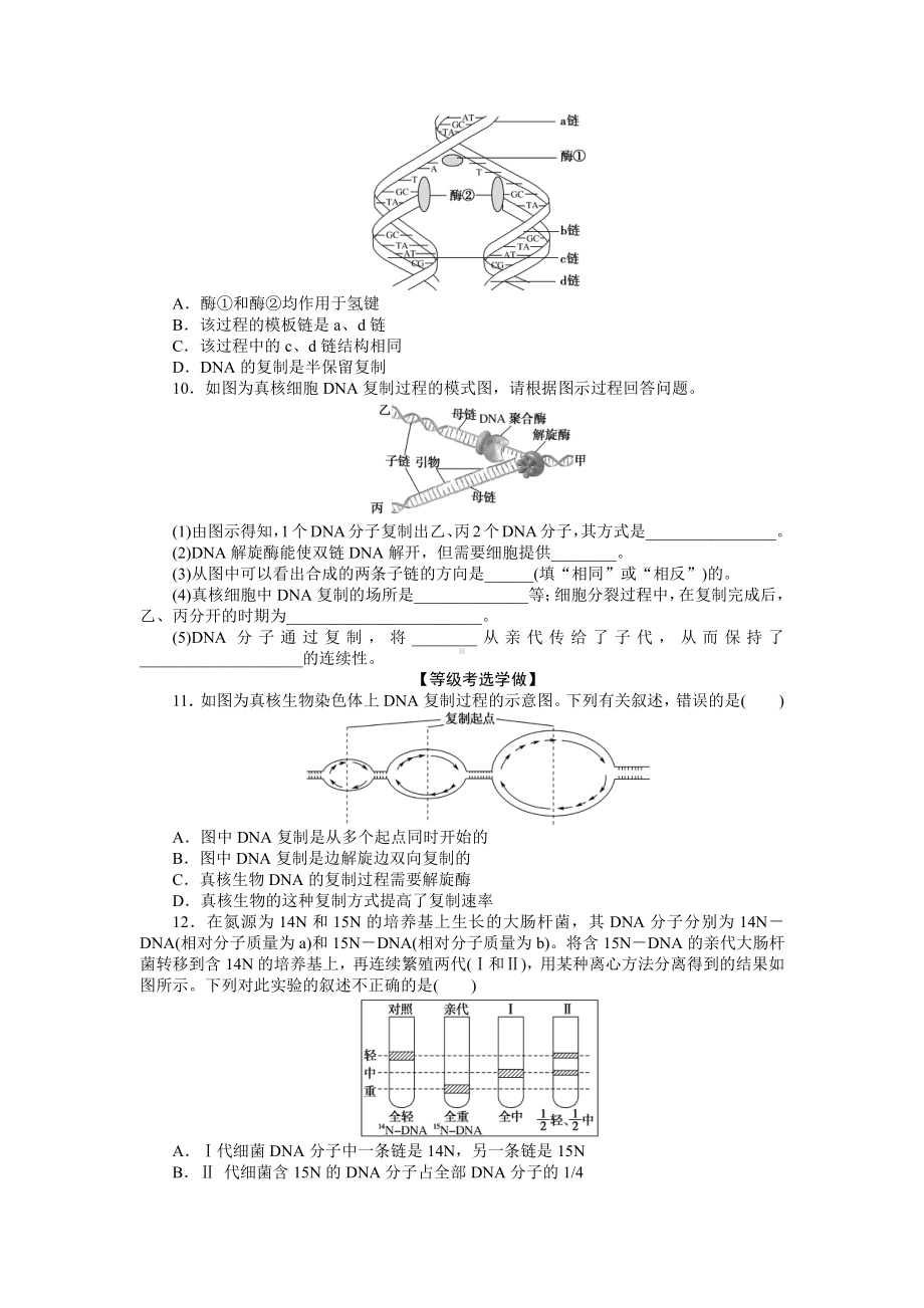 （新教材）2019人教版高中生物必修二11DNA的复制课后作业.doc_第2页