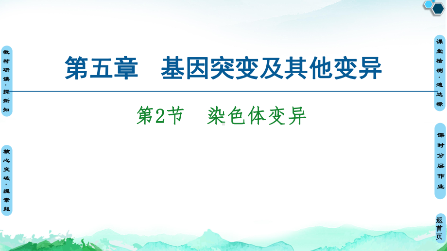 （新教材）2019新人教版高中生物必修二第5章第2节染色体变异课件.ppt_第1页