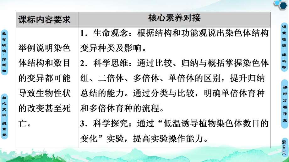 （新教材）2019新人教版高中生物必修二第5章第2节染色体变异课件.ppt_第2页