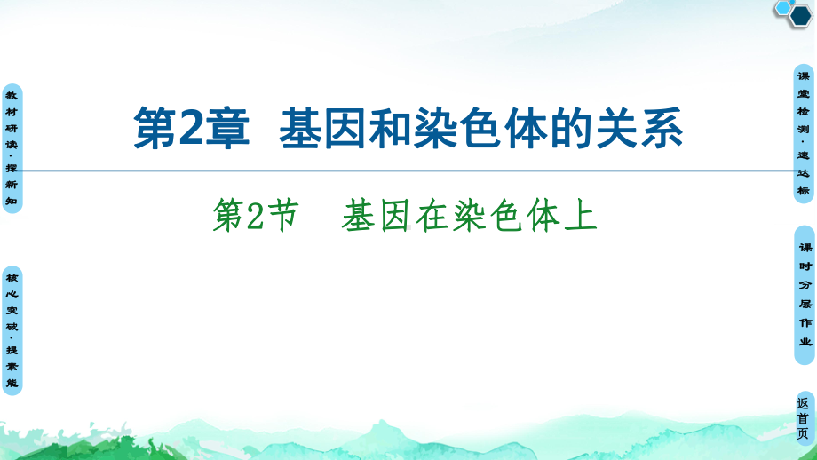 （新教材）2019新人教版高中生物必修二第2章第2节基因在染色体上课件.ppt_第1页