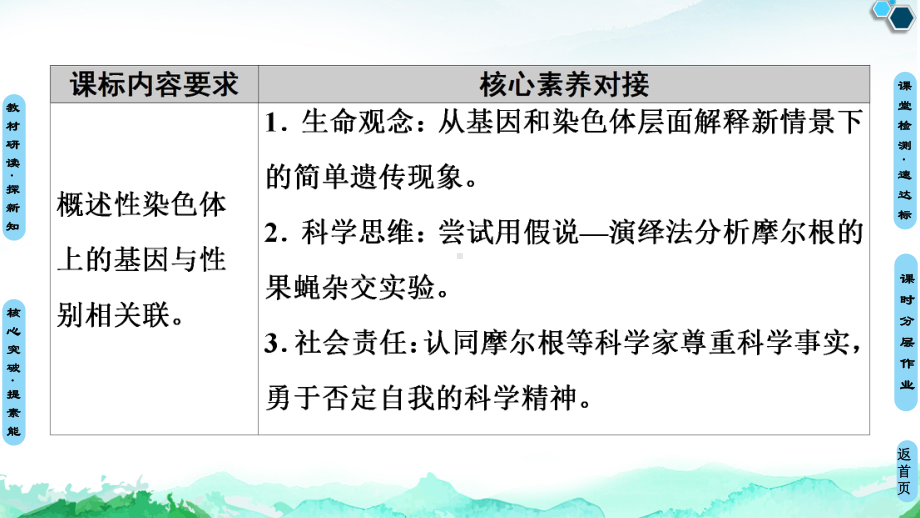 （新教材）2019新人教版高中生物必修二第2章第2节基因在染色体上课件.ppt_第2页