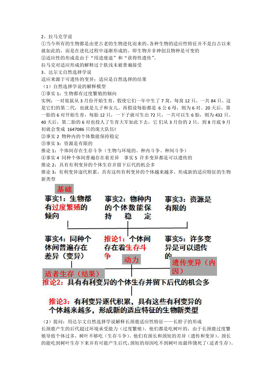 （新教材）2019人教版高中生物必修二6.2自然选择和适应的形成教案.docx_第2页