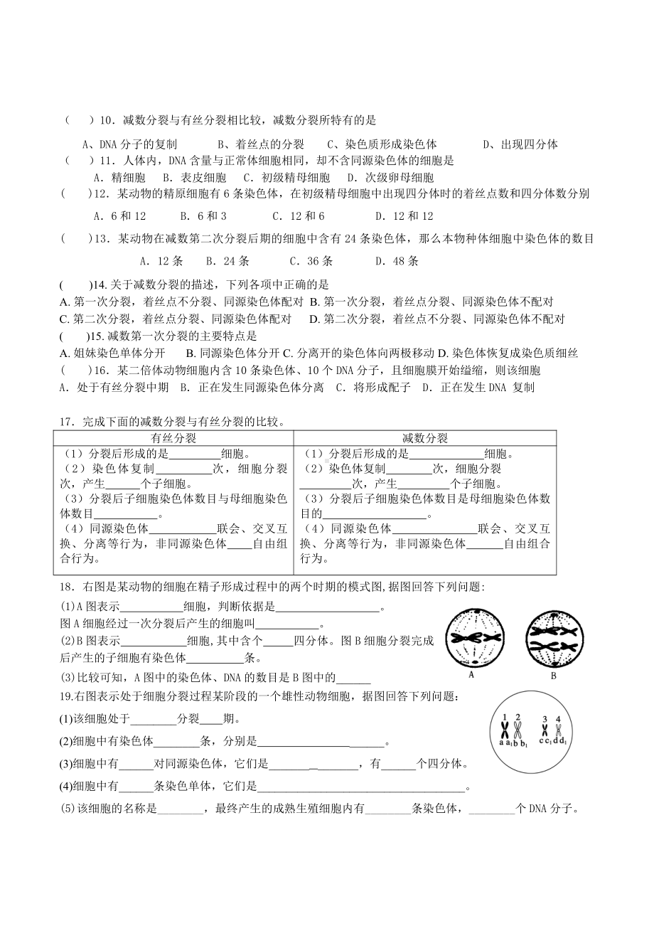 （新教材）2019人教版高中生物必修二2.1.1减数分裂和受精作用强化训练.doc_第2页