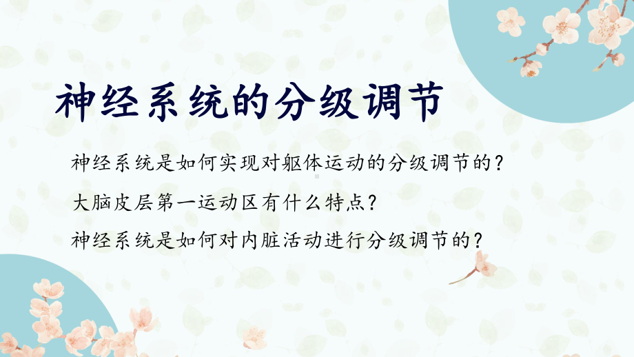 （新教材）2019人教版高中生物选择性必修一2.4 神经系统的分级调节 ppt课件.pptx_第1页