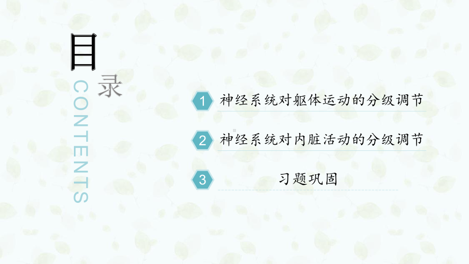 （新教材）2019人教版高中生物选择性必修一2.4 神经系统的分级调节 ppt课件.pptx_第3页