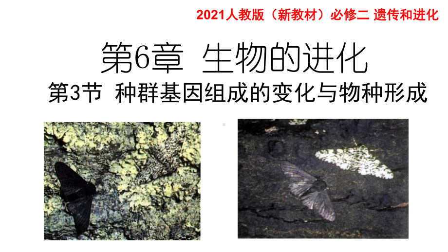 （新教材）2019新人教版高中生物必修二6.3.1种群基因组成的变化与物种的形成（第一课时）ppt课件.pptx_第1页