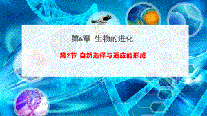 （新教材）2019新人教版高中生物必修二6.2 自然选择与适应的形成ppt课件.ppt