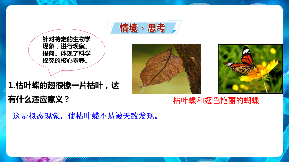 （新教材）2019新人教版高中生物必修二6.2 自然选择与适应的形成ppt课件.ppt_第2页