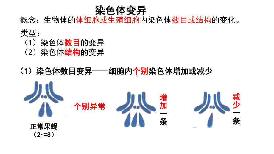 （新教材）2019新人教版高中生物必修二5.2染色体变异ppt课件.pptx_第3页