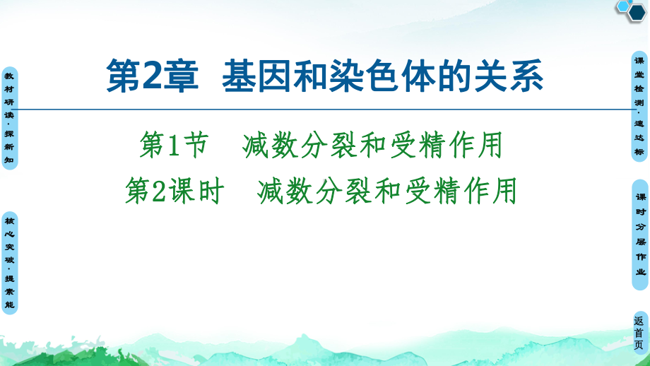 （新教材）2019新人教版高中生物必修二第2章第1节第2课时减数分裂和受精作用课件.ppt_第1页