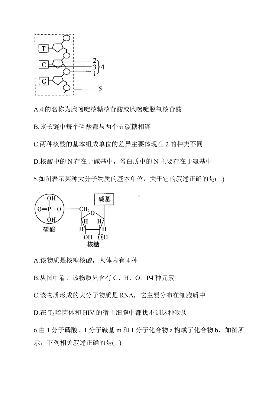 （新教材）2019新人教版高中生物必修一章节（6） 核酸是遗传信息的携带者.docx_第2页