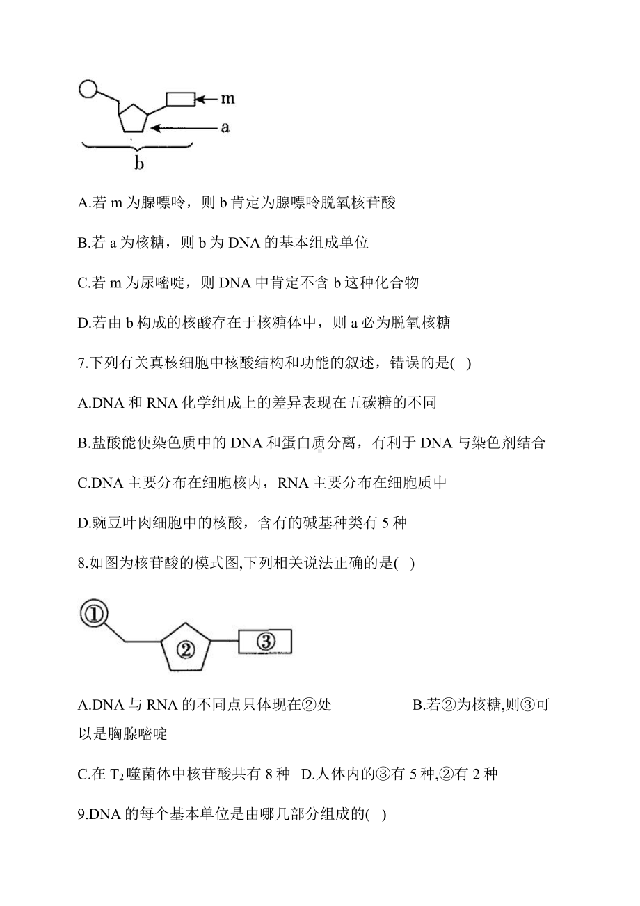 （新教材）2019新人教版高中生物必修一章节（6） 核酸是遗传信息的携带者.docx_第3页