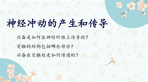 （新教材）2019人教版高中生物选择性必修一2.3 神经冲动的产生和传导 ppt课件.pptx