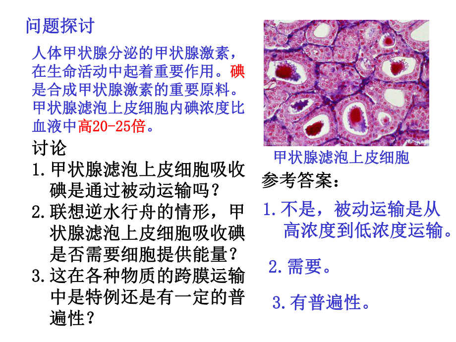 （新教材）2019新人教版高中生物必修一4.2 主动运输与胞吞、胞吐 ppt课件.ppt_第2页