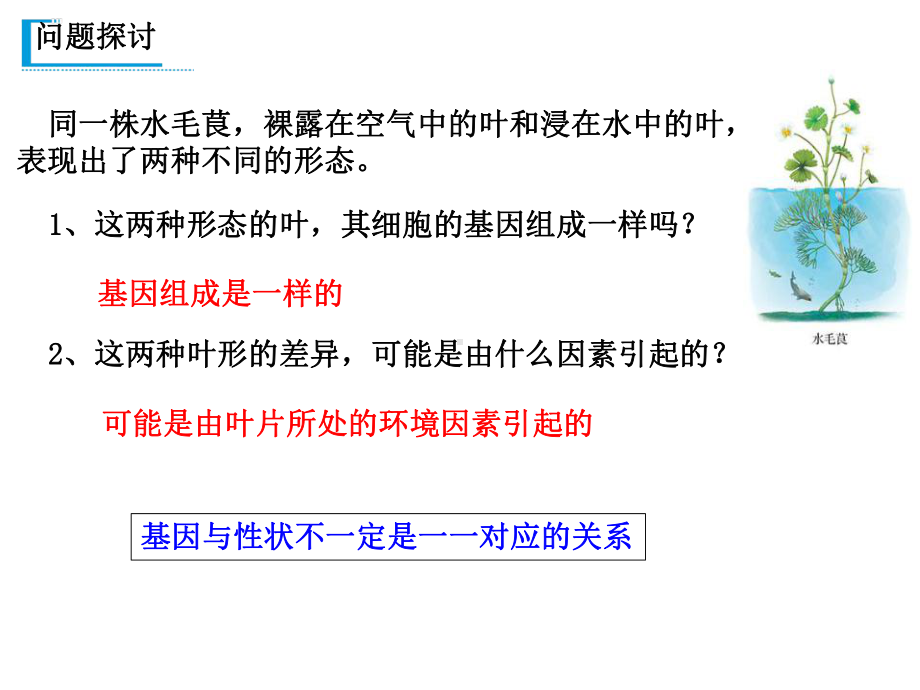 （新教材）2019新人教版高中生物必修二第4章第2节 基因表达与性状的关系ppt课件.pptx_第2页