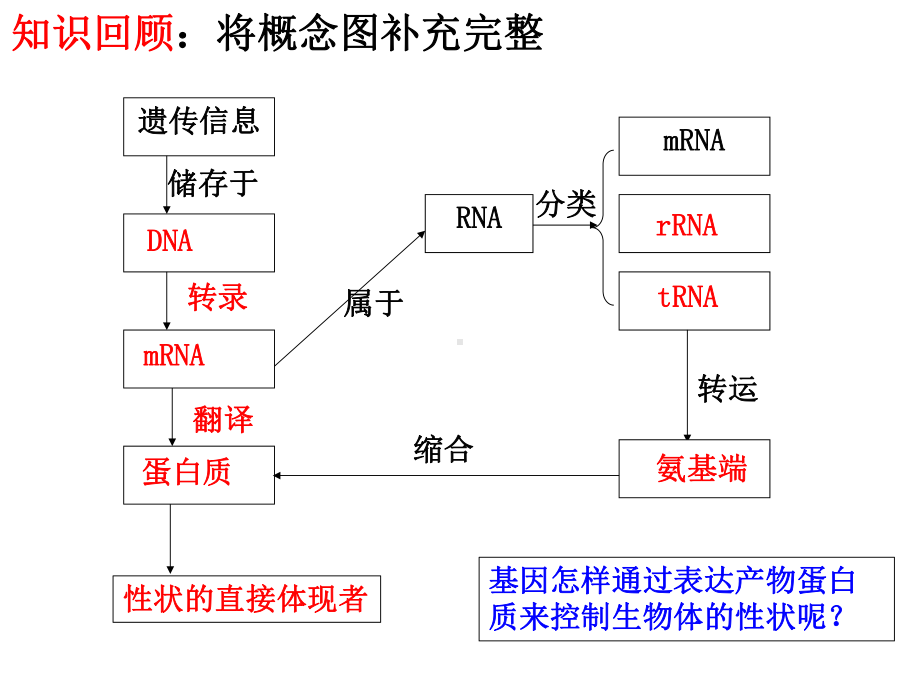 （新教材）2019新人教版高中生物必修二第4章第2节 基因表达与性状的关系ppt课件.pptx_第3页