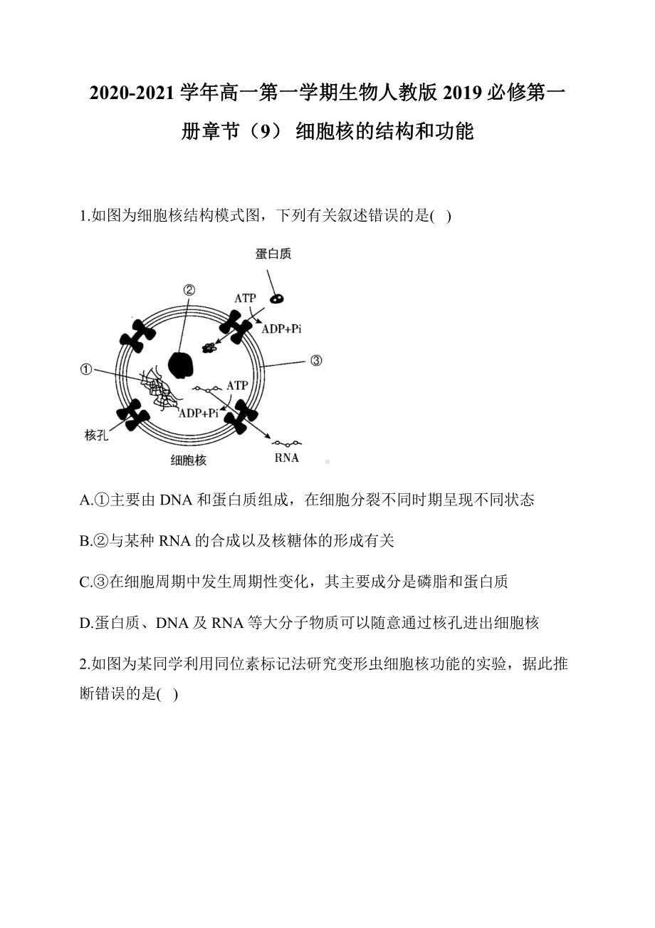 （新教材）2019新人教版高中生物必修一3.3 细胞核的结构和功能.docx_第1页