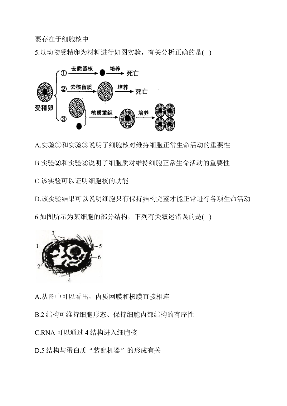 （新教材）2019新人教版高中生物必修一3.3 细胞核的结构和功能.docx_第3页