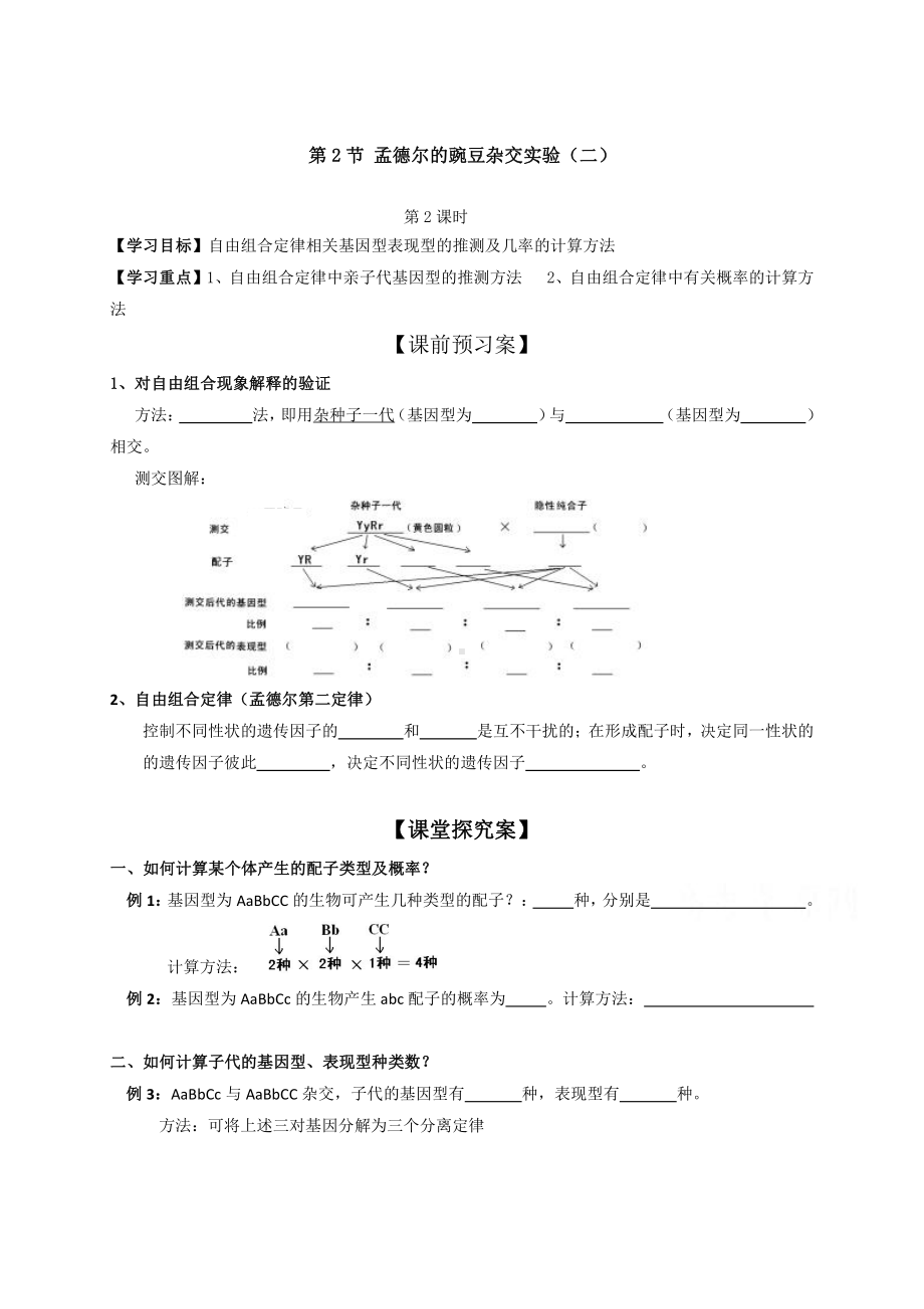 （新教材）2019人教版高中生物必修二1.2孟德尔的豌豆杂交实验二学案.doc_第1页