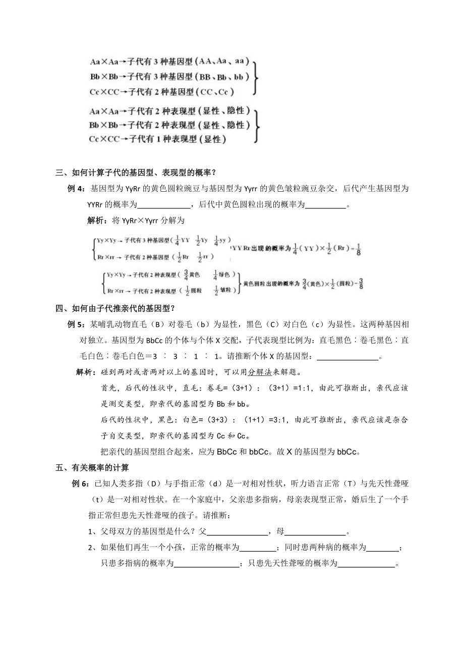 （新教材）2019人教版高中生物必修二1.2孟德尔的豌豆杂交实验二学案.doc_第2页