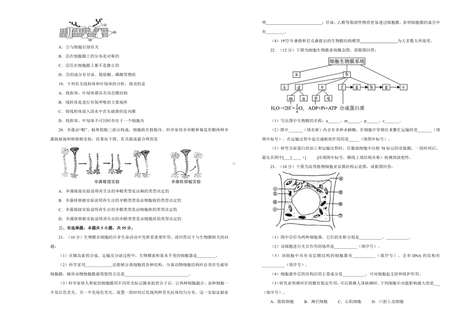 （新教材）2019新人教版生物必修一第三章细胞的基本结构双基训练试卷（二）.doc_第3页